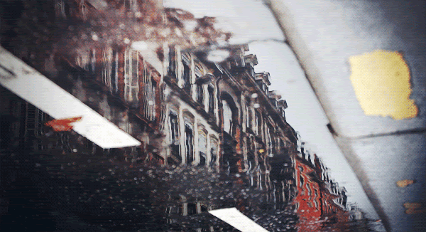 The Enchanting Intensity if Moving Pictures
