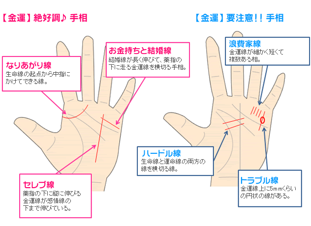 ブランディア番組出演 島田秀平 さんが伝授 オリジナル 手相占い