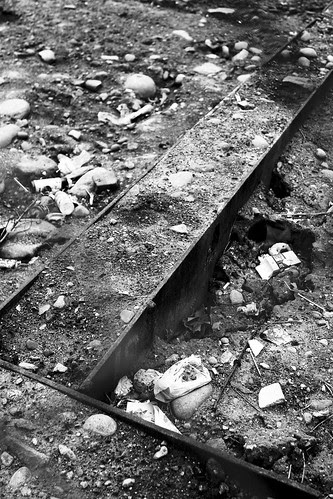 Deadyard Forms / 20091125.7D.00557.P1.L1.C23.BW / SML