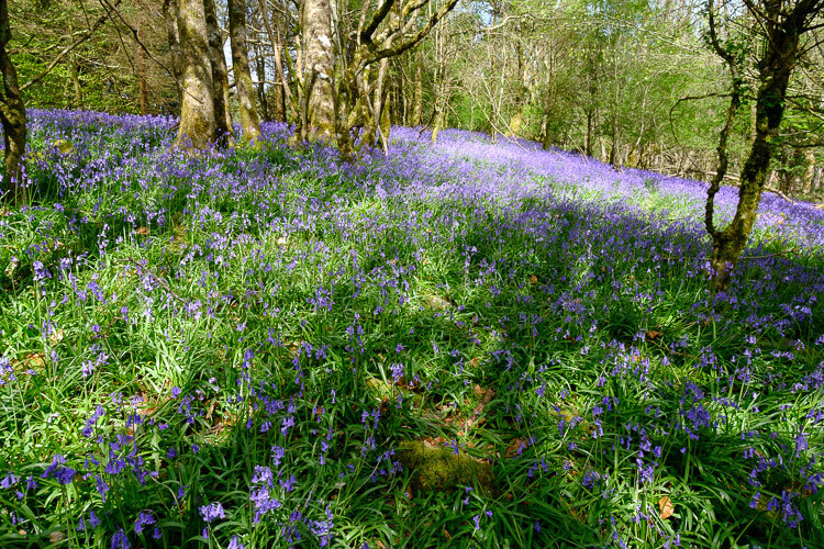 My 5 Favorite Lightroom Sliders