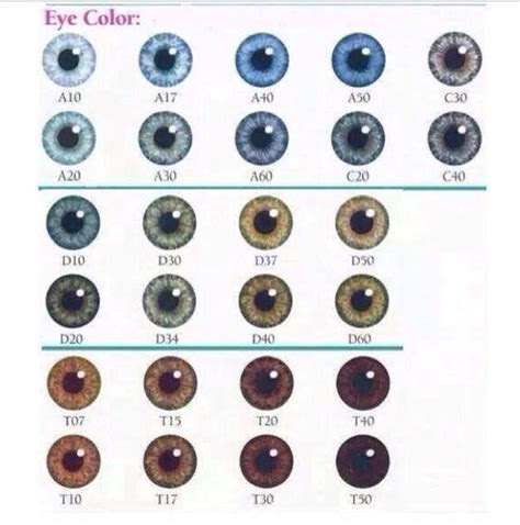 Today, scientists have discovered that at least eight genes influence the final color of eyes. pin by morgan hart on wut eye color chart eye color facts eye