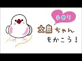 選択した画像 かわいい 可愛い かわいい 文鳥 イラスト 119675