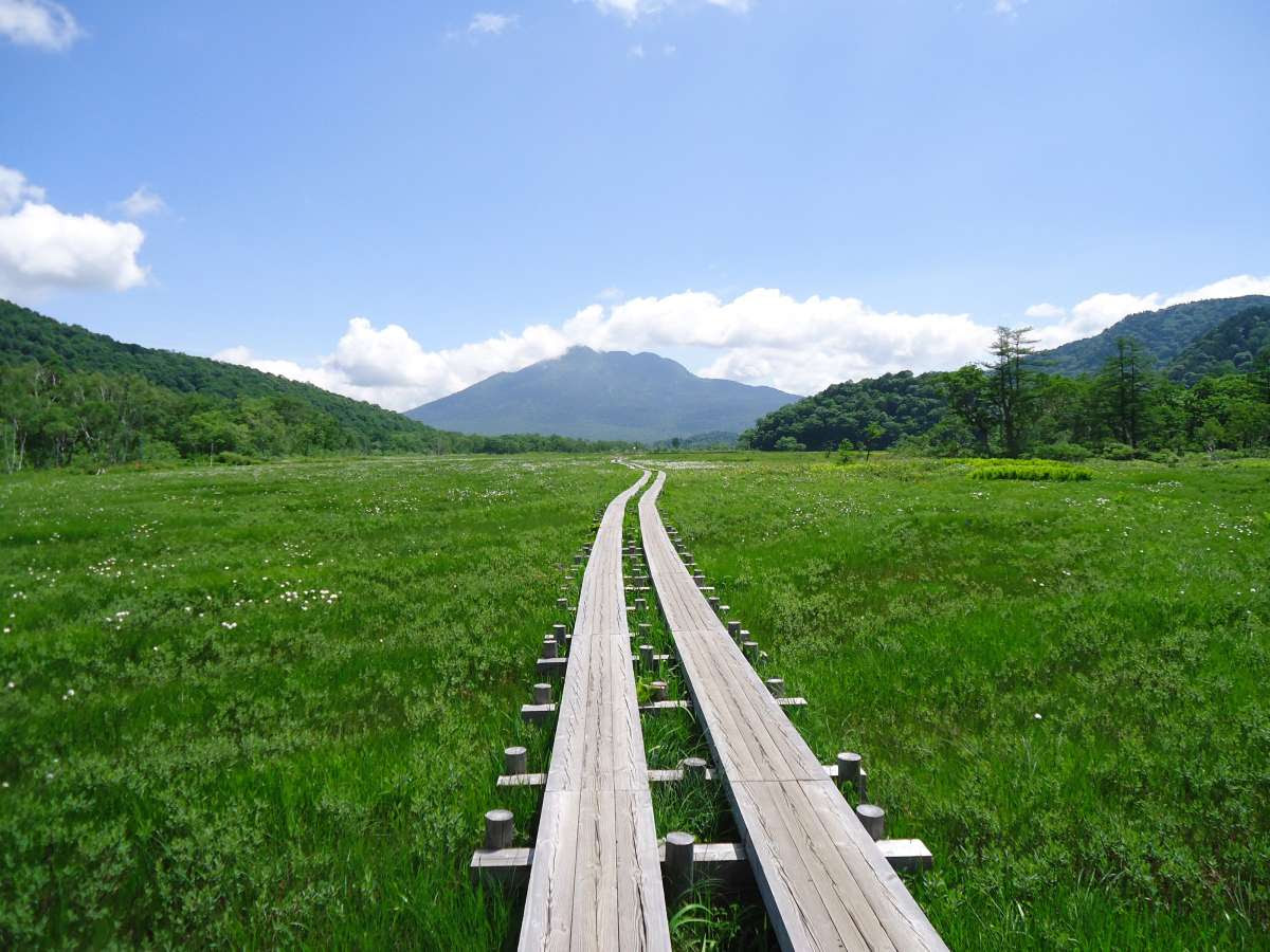8 990円 早発 水芭蕉が咲く時期限定 絶景 尾瀬ヶ原ハイキング日帰り さいたま新都心発 新聞掲載された国内超お得旅行情報