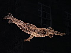 Durham Lumiere 2011