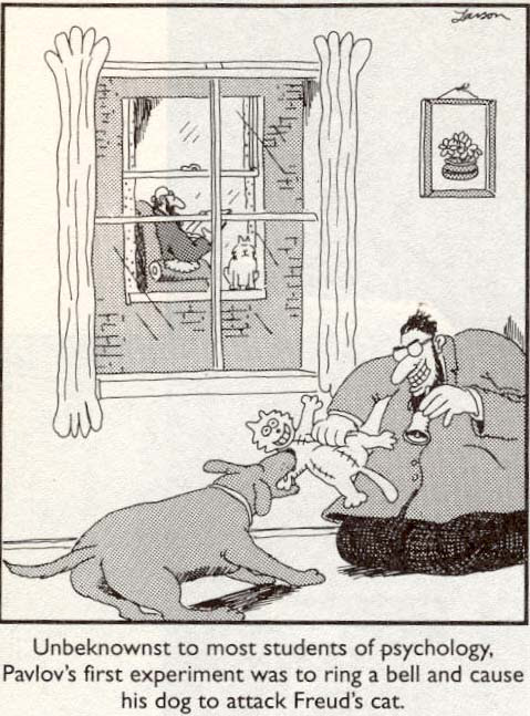 behavioral  psychology