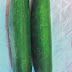 胡瓜 - 香菇炒胡瓜絲 by QQ♥廚房♫ ♪♥♪ ♫ - 愛料理 - Check spelling or type a new query.