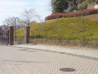 たいぴing Life 美咲ナンバーワン ロケ地 Vol 5
