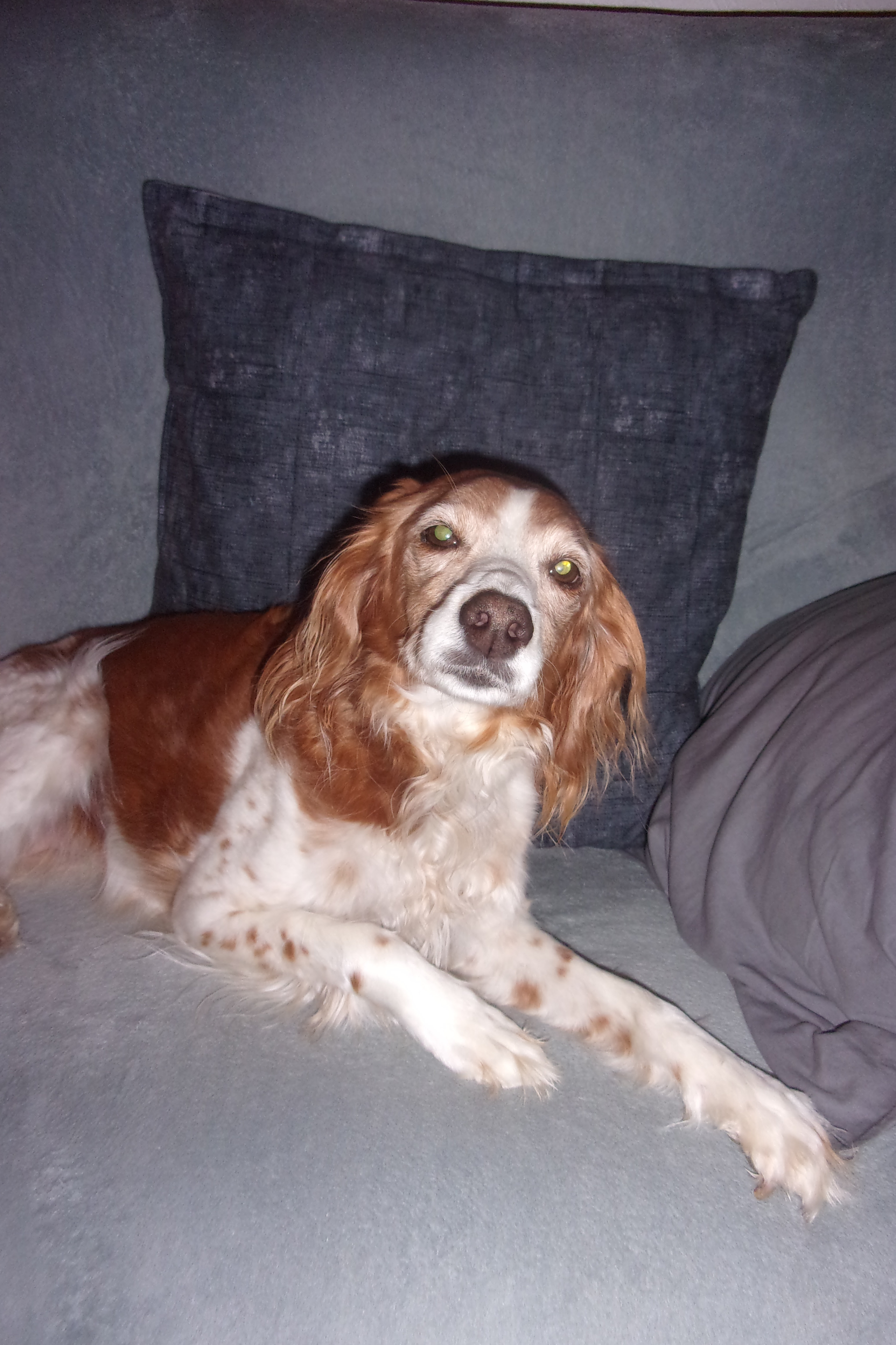 Les 10 Ans De Ma Pepette Mes 101 Luby