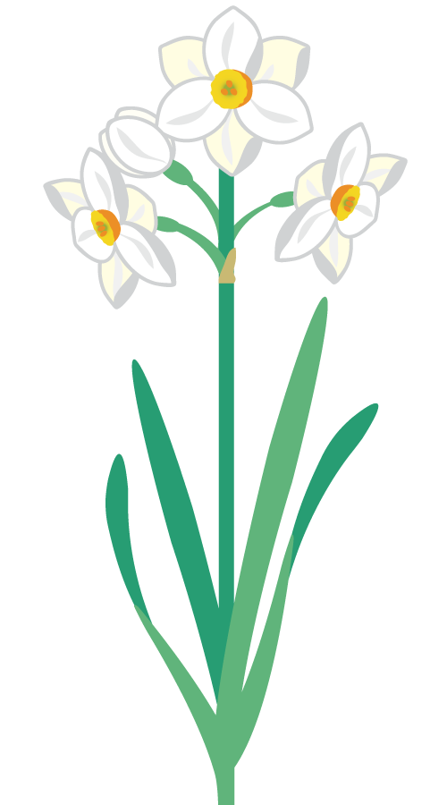 冬の花 椿 水仙 南天 ふでこや 無料イラスト