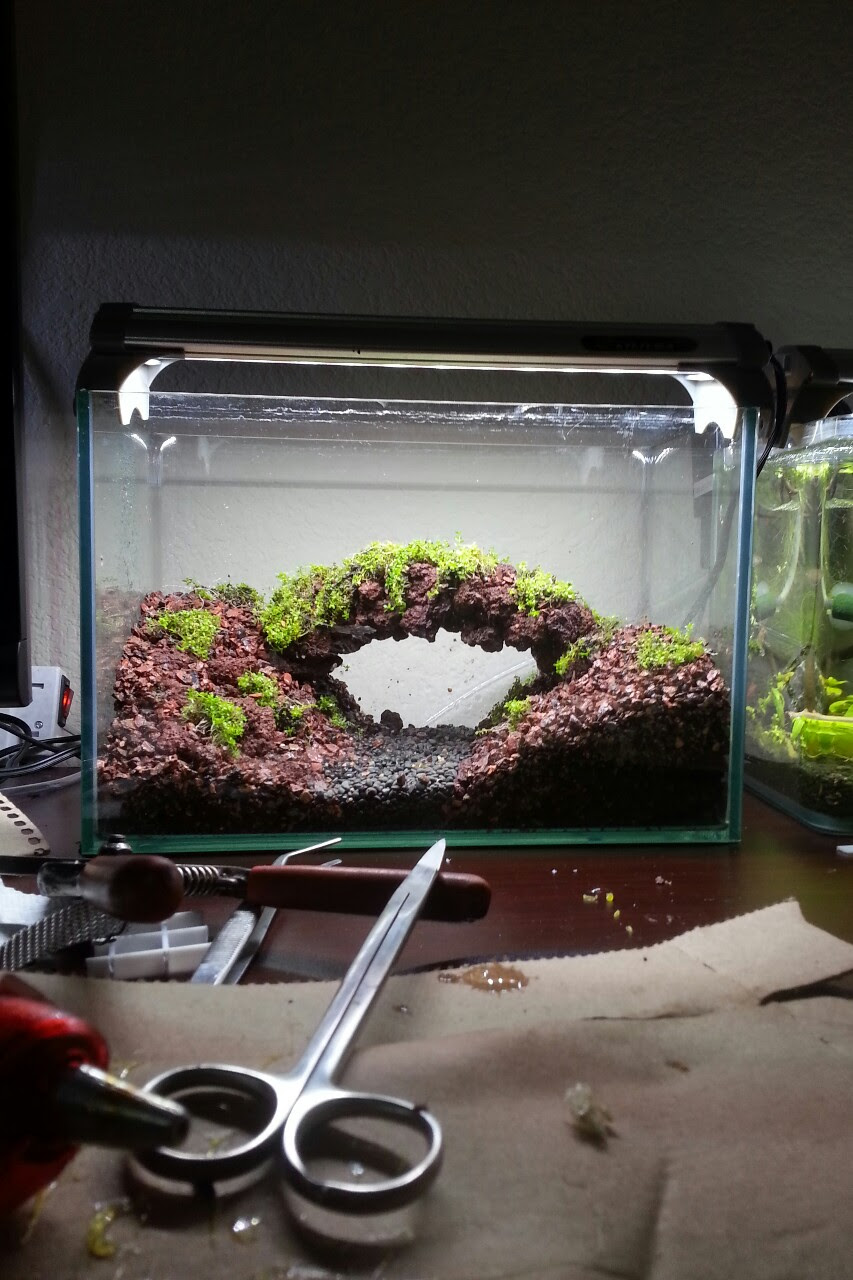 Nano Bridge Scape The Planted Tank Forum