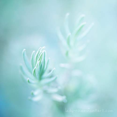 59.365 by Lady-Ro