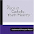 Read The Vision of Catholic Youth Ministry: Fundamentals, Theory, and Practice Free PDF Book