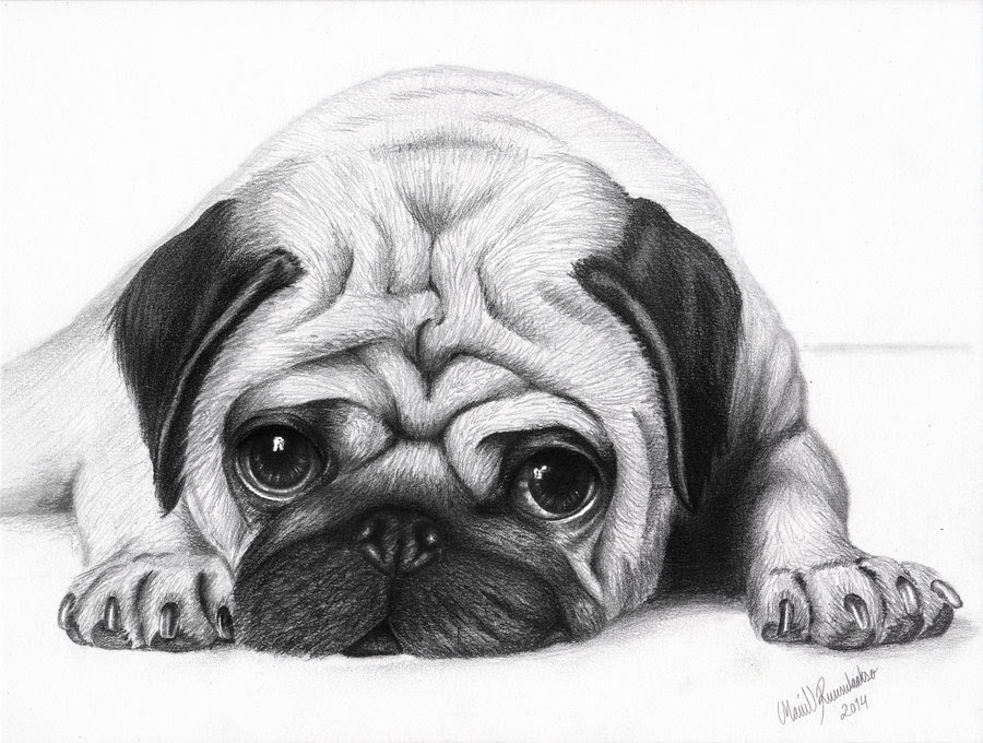 Download Free Puppy Face Black In White, Download Free Clip Art ...