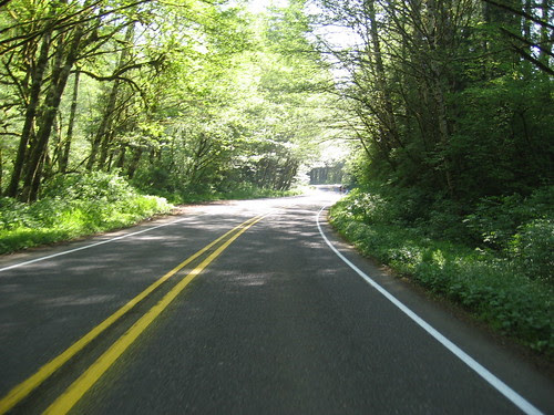 climbing Little Nestucca Road