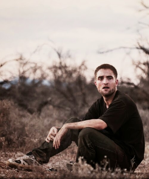 the_rover_1
