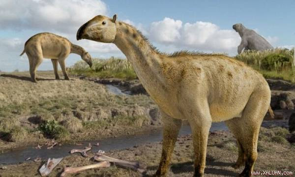 Hình ảnh minh họa loài động vật giống ngựa và voi xuất hiện ba triệu năm trước. Ảnh: Daniel Boh.