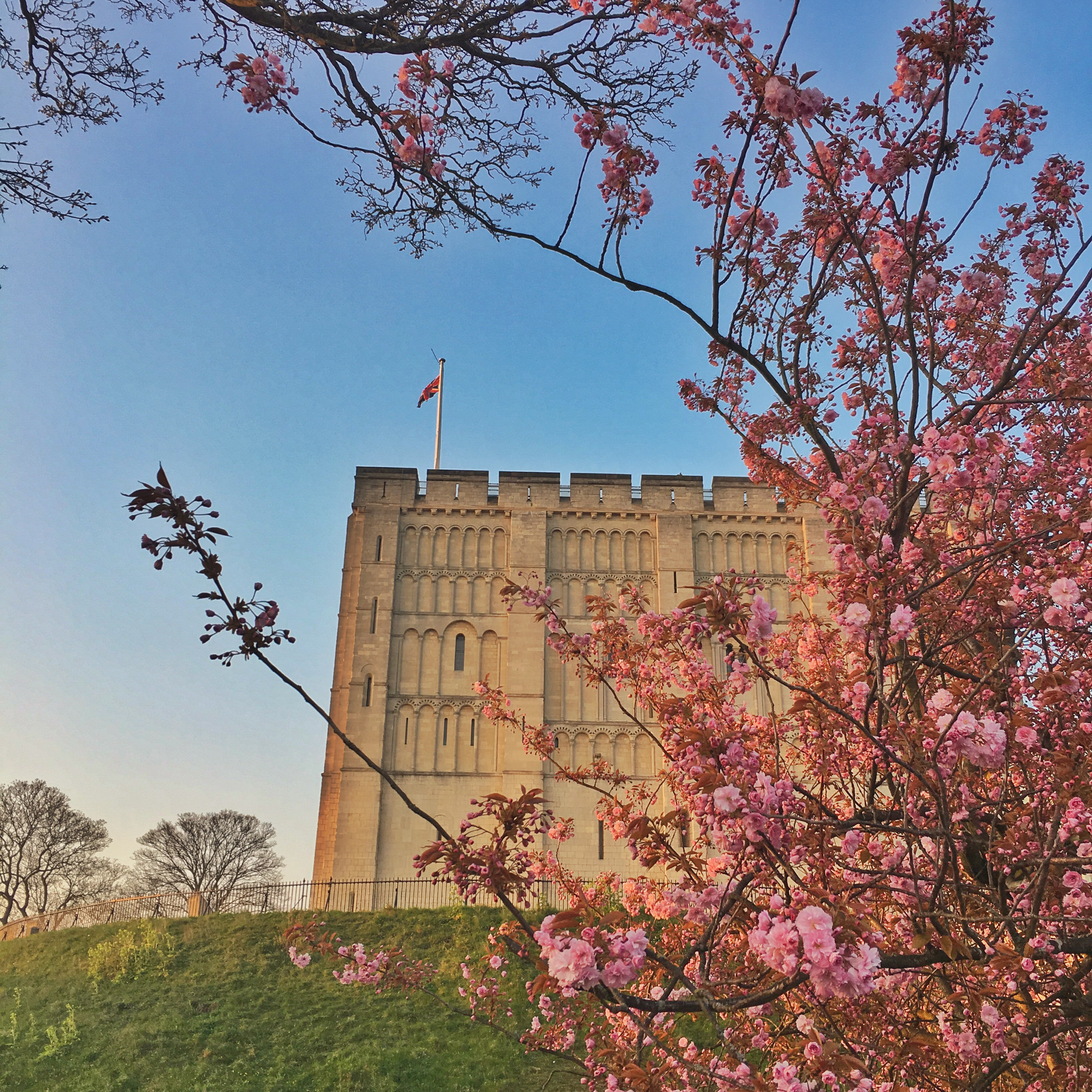 Review: The Gunton Arms, Norfolk