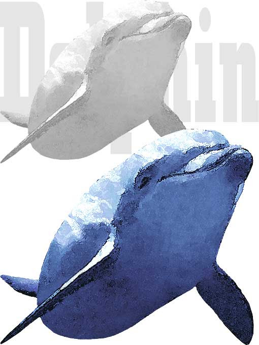 イルカのイラストフリー素材集 条件付