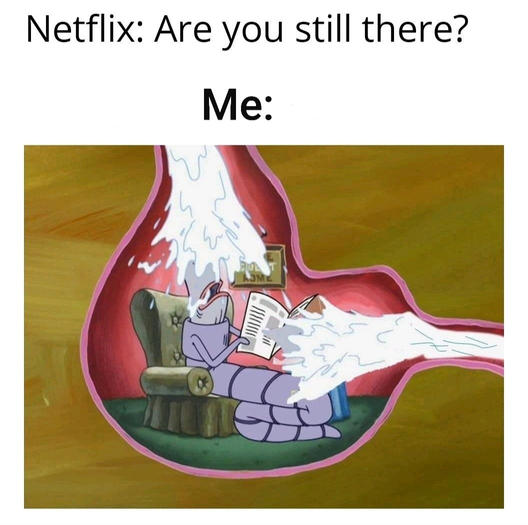 Netflix And Chill Meme By Lilloren Memedroid