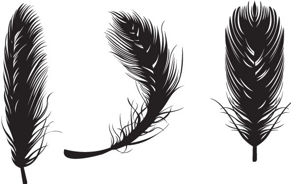 Download Feather Vectors Free vector in Adobe Illustrator ai ( .ai ...
