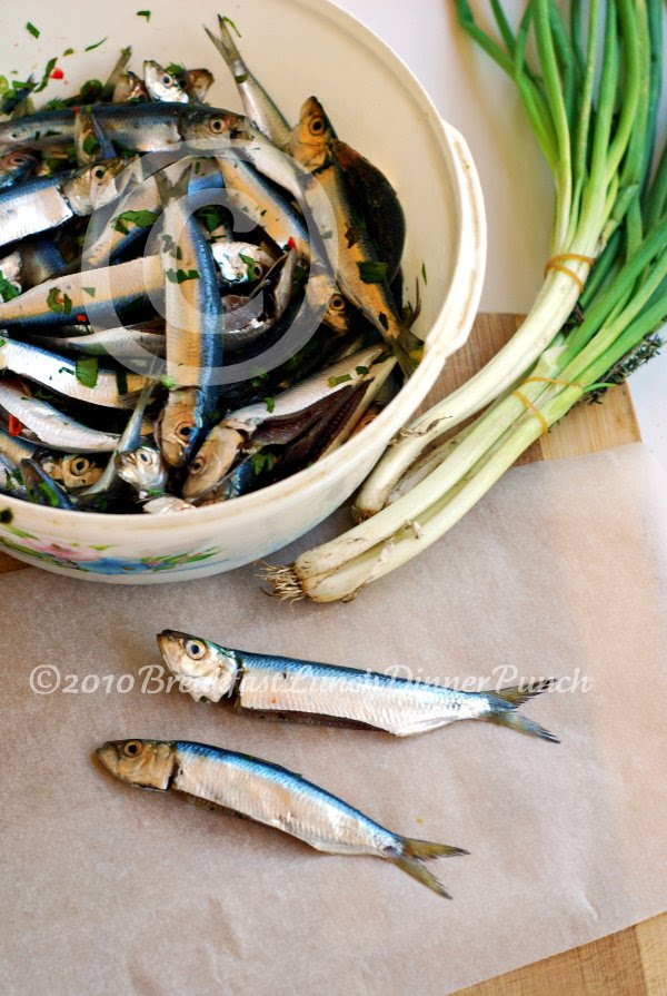 Sprats