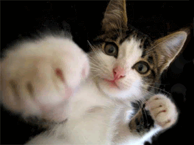 Animated Pictures Myspace Comments