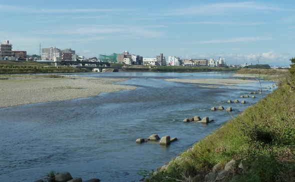 多摩川アユの産卵時期と産卵場所 多摩川アユの生態