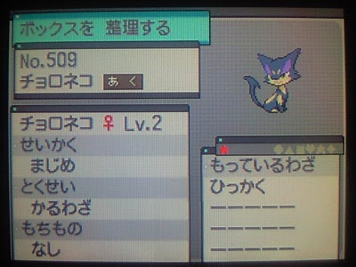 B2色違いチョロネコ お馬さんの足音