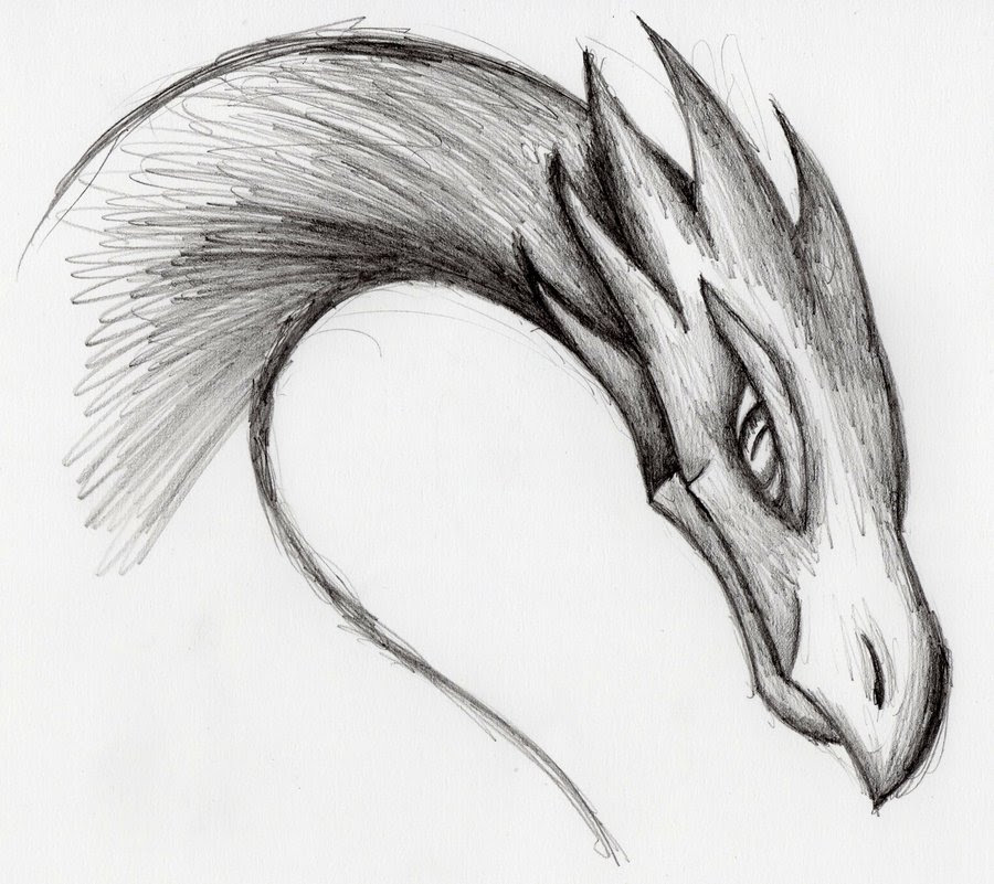 Free Dragon Drawing, Download Free Dragon Drawing png ...