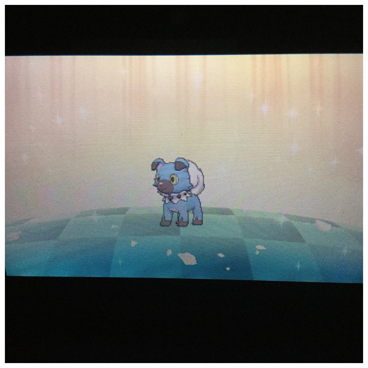 ポケモン 国際孵化で色違い日記 色違いイワンコを求めて とりあえず1匹目