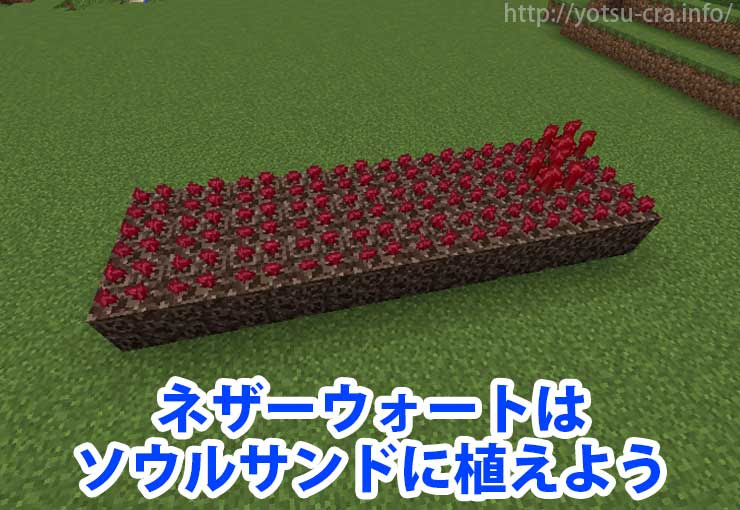 マインクラフト ネザーウォートの入手方法 畑で栽培 収穫も可能