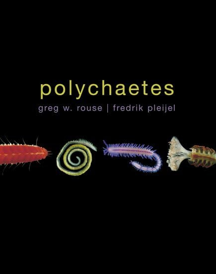 Polychaetes