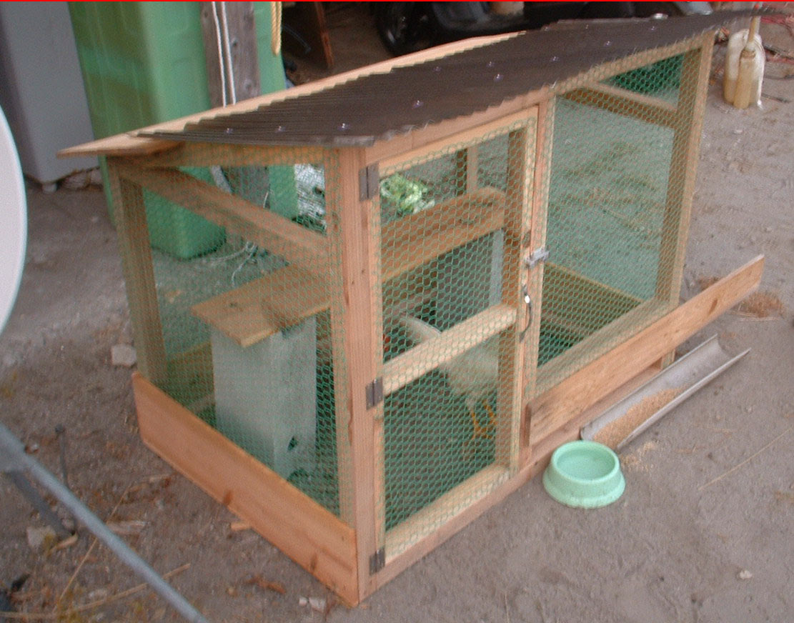 鶏小屋掲示板
