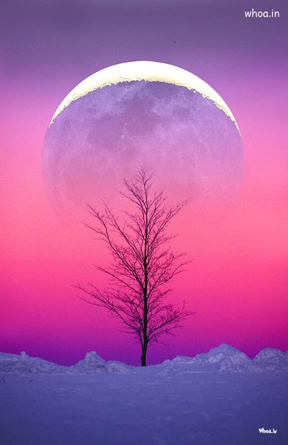 Pink Natural Wallpaper