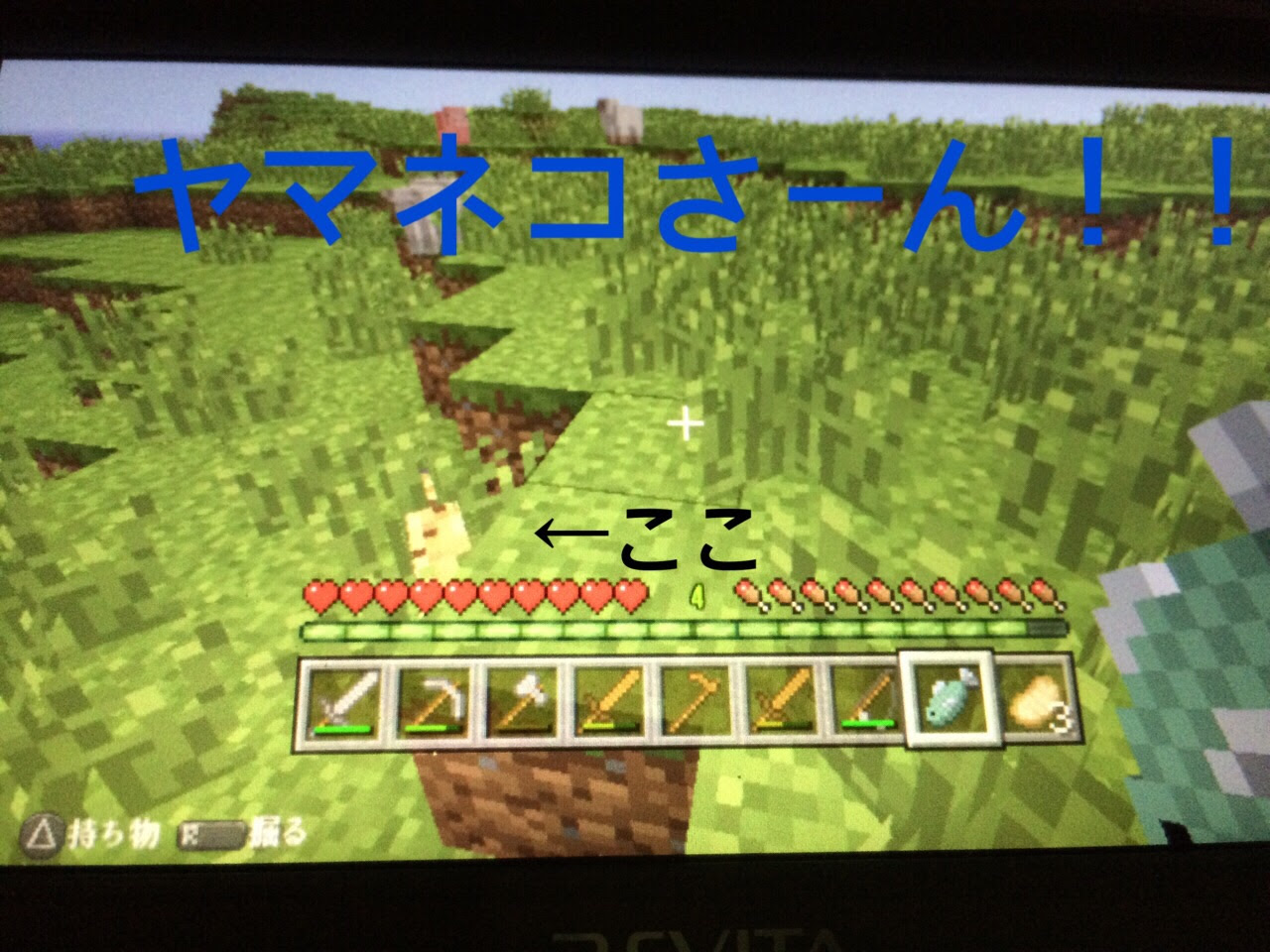 ヤマネコさん発見 手なづけ 2 Psvita まったりマインクラフト