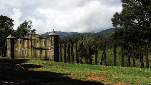 Gate and fence