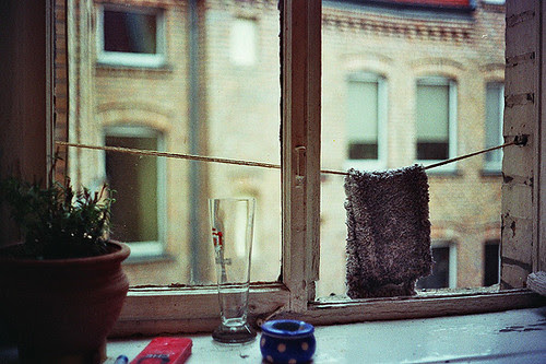 Fensterblick