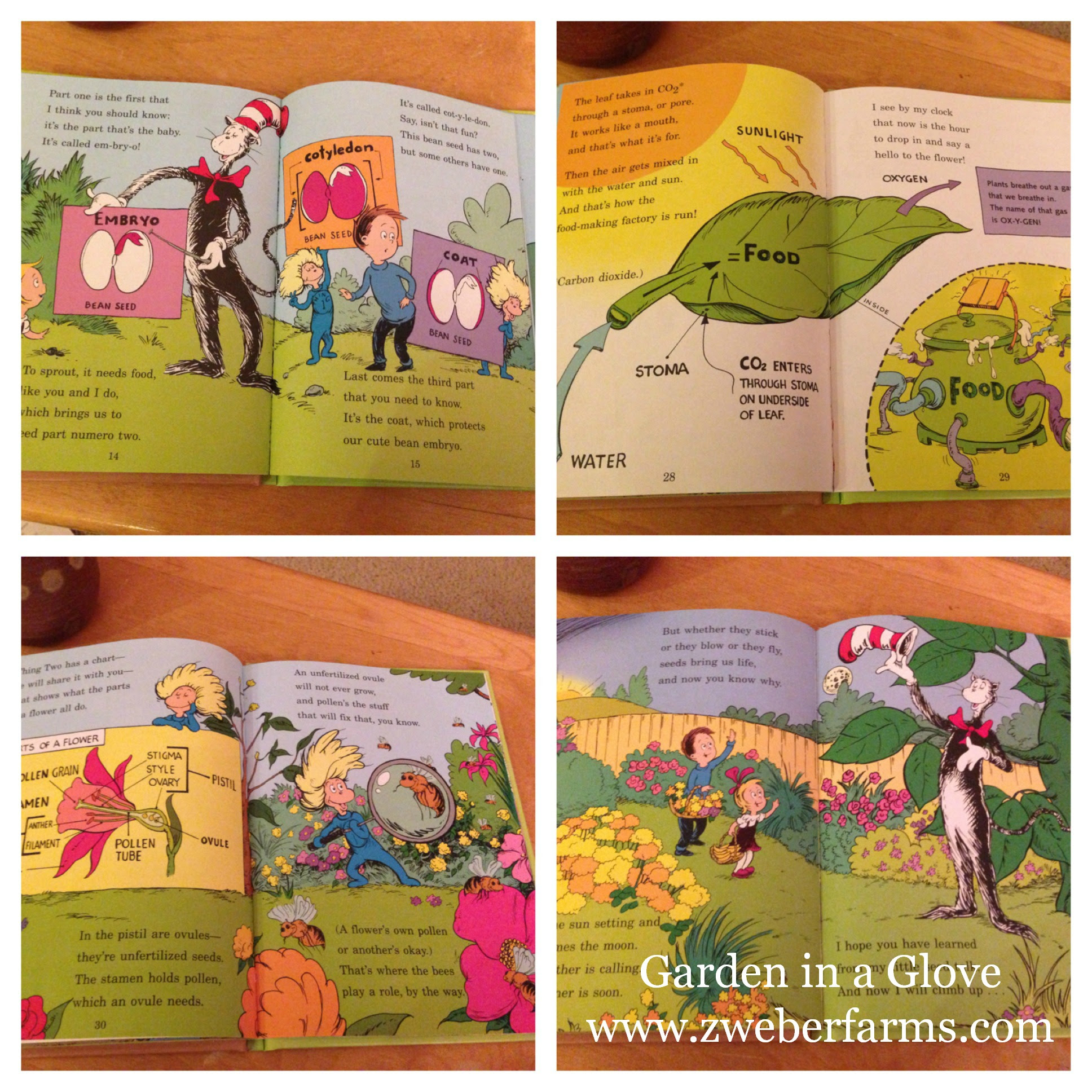 farm activities, preschool, teacher, free, resource, elementary school ...