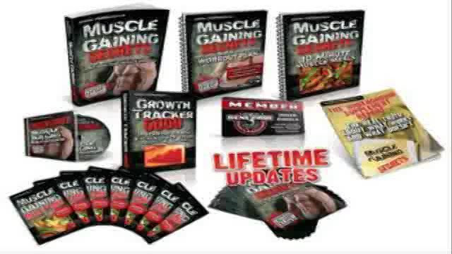 Meal Plans For Gaining Muscle : Do All Dragons Have Wings