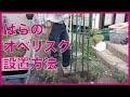 [10000ダウンロード済み√] バラ トレリス 仕立て方 597597-バラ トレリス 仕立て方 相性のいいバラの組み合わせは