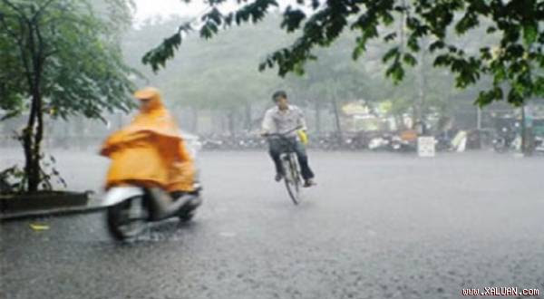 Các vùng trên cả nước đều có mưa