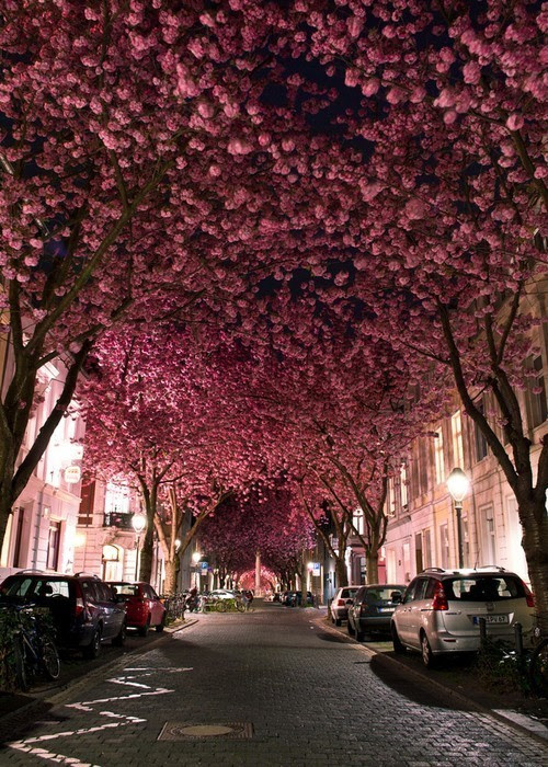 (via ZsaZsa Bellagio)