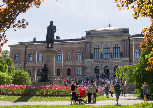Röntgenveckan 2013