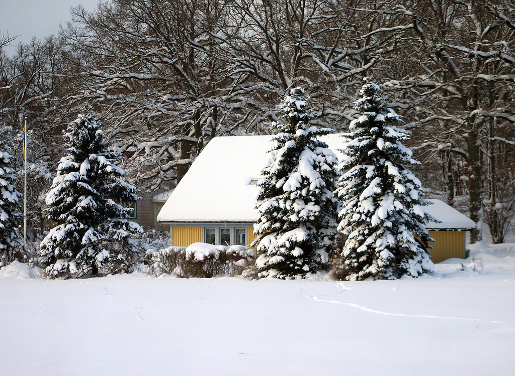 A Yellow Cottage