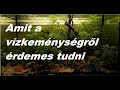 A növényes akvárium és a víz keménysége