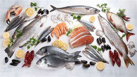 Experts say the food pyramid recommendations may be outdated, because lifestyles for people in the. Why The Pescatarian Diet (Eating Fish) Is Bad - Realism In