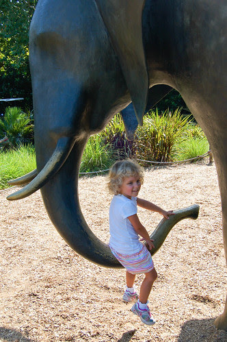 082211_003.jpg
