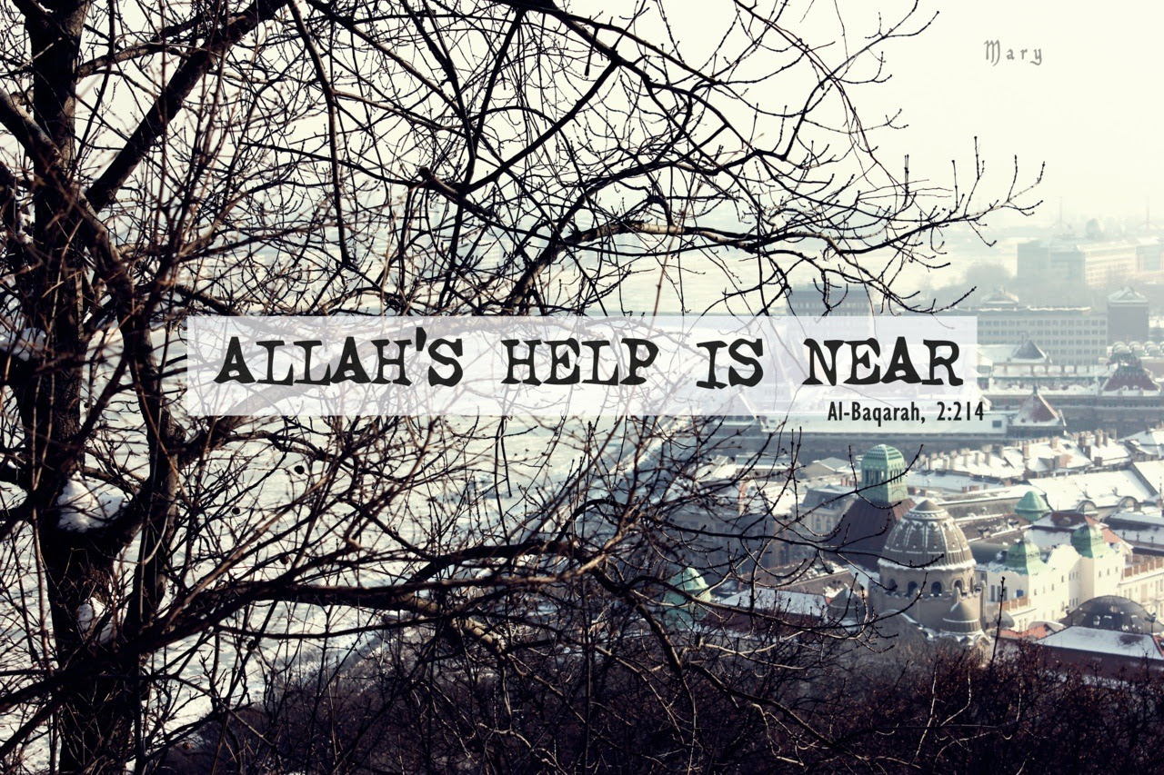 http://24.media.tumblr.com/tumblr_m0xqofBP4G1r67xvko1_1280.jpg