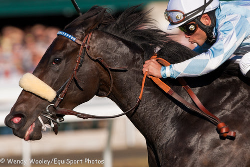 Harmonious_10.16.10_ww_wm-1287