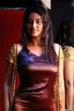 Sneha